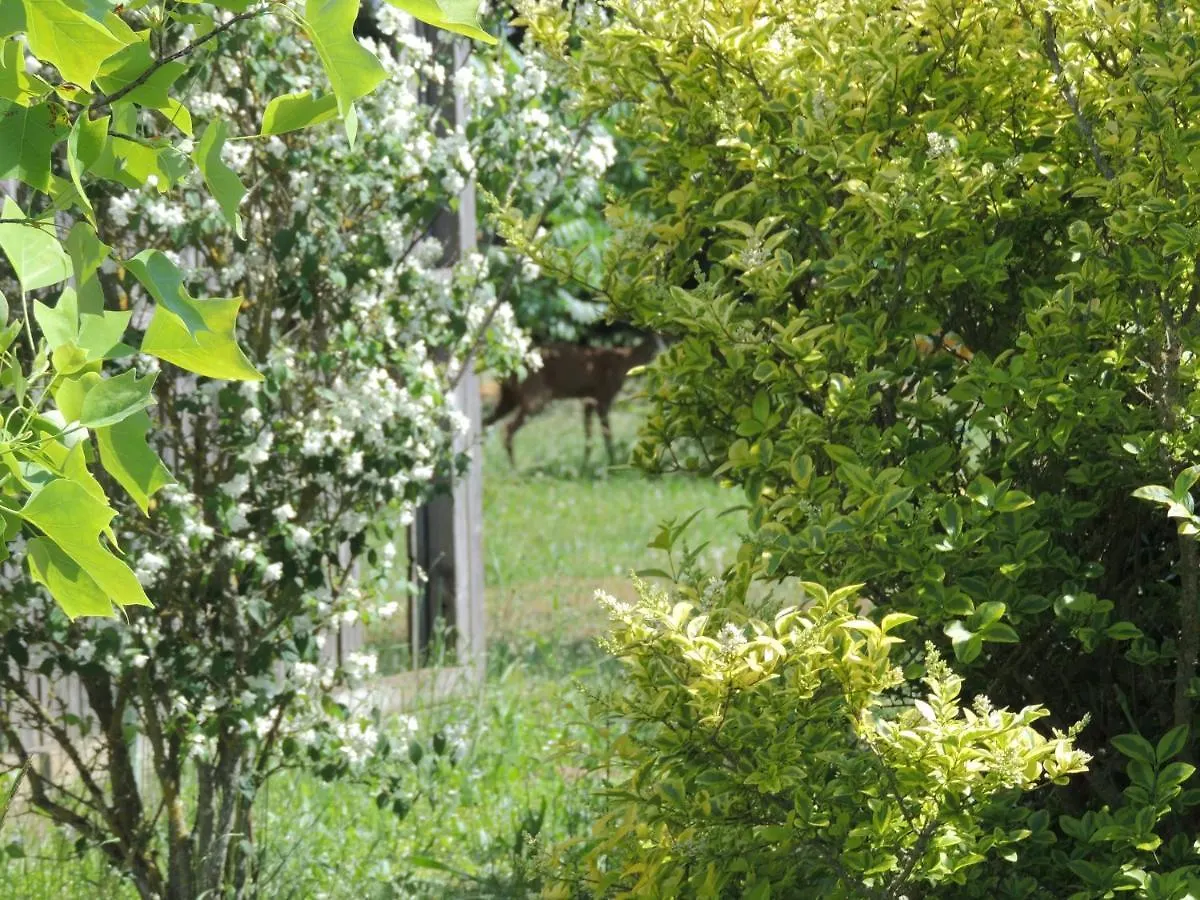 Chalet Atypique Lola Type Kota Location En Gite Chazemais 0*,  Γαλλία